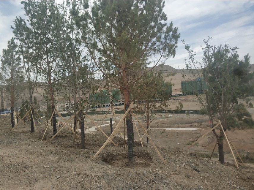 乌鲁木齐新建楼房,乌鲁木齐规划新建350米高楼