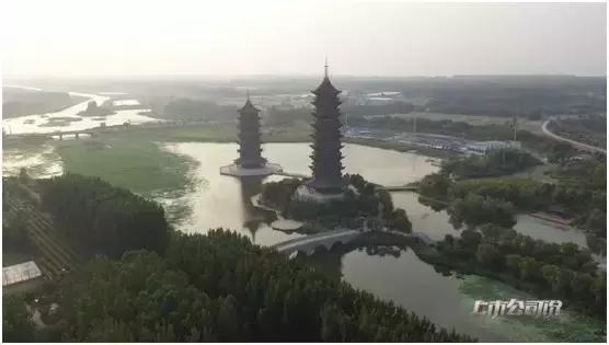 洋河股份发展过程,洋河股份三年五百亿