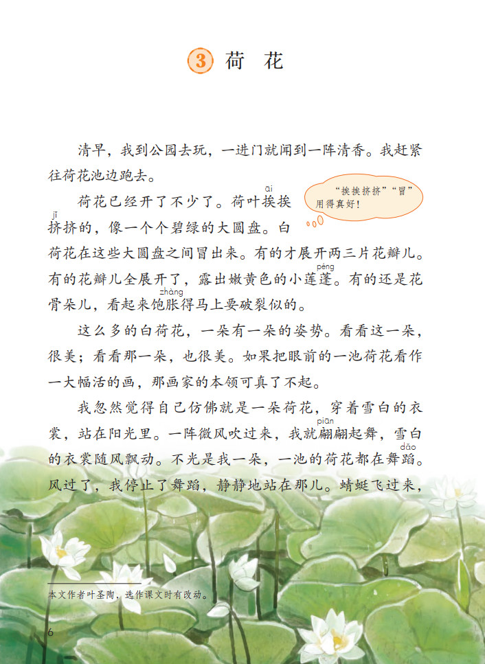 三年级下册语文荷花小练笔200字,三年级下册语文3课荷花课文讲解