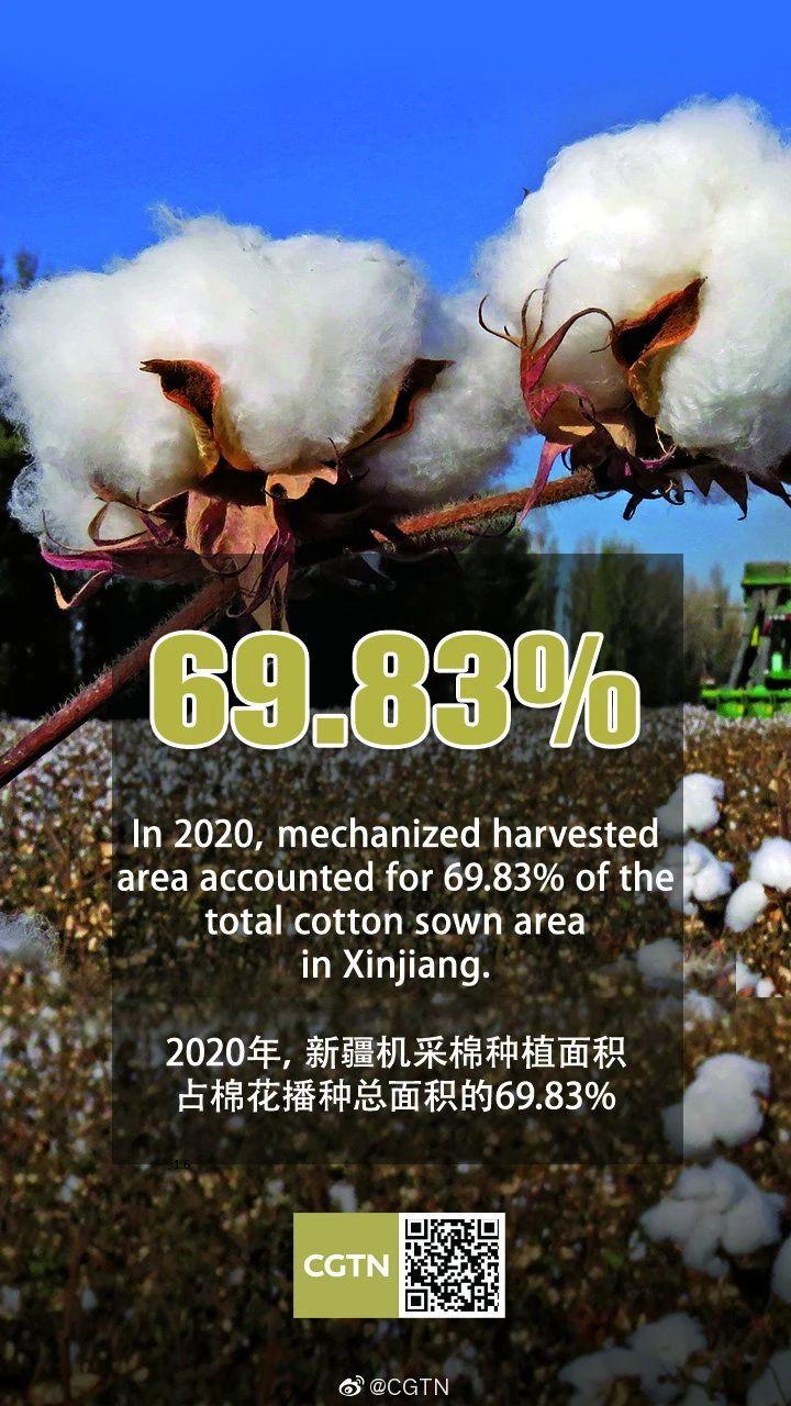 HM*制抵***疆新**棉花：明明那么普通，哪来的自信？