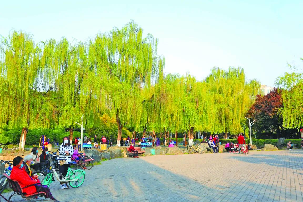 全运托起健身梦全民刮起“运动风”高新公园里的健身场所，藏不住啦！