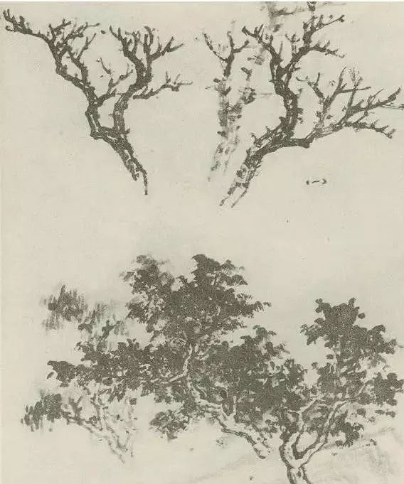 怎样画树画得好看,怎么画树最简单而且还最好看