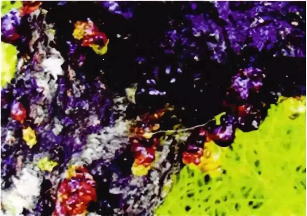 代森铵对果树流胶病有作用吗,果树得了流胶病用火烧管用吗