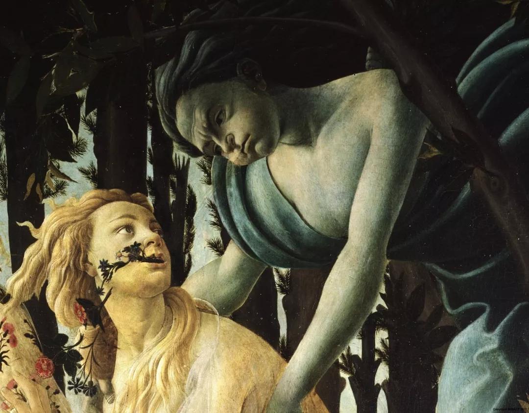 真美女，捐出千亿家产，成就世界顶级博物馆，稀世珍宝对全球开放