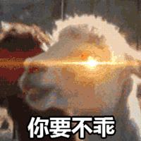 乔欣有一个三亿豪宅的存在吗,乔欣三亿豪宅是真的么