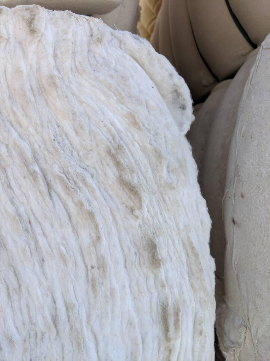 棉田里的边缘战事