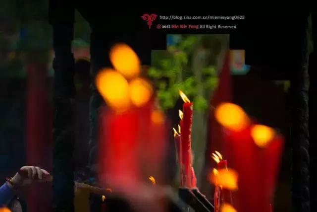 杭州天目山民宿,杭州天目山原始森林民宿