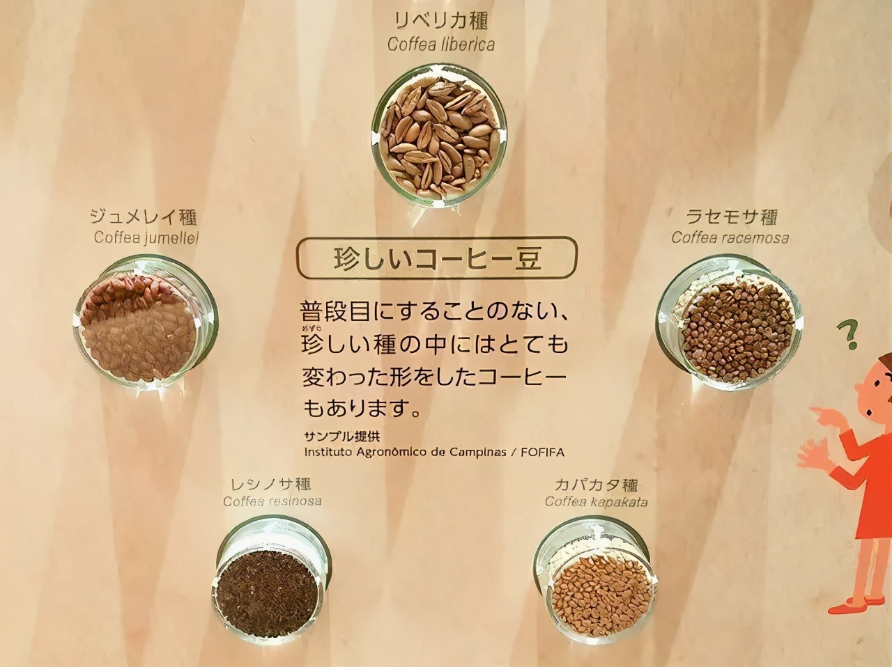 日本美食旅游的兴起,日本美食与风土人情