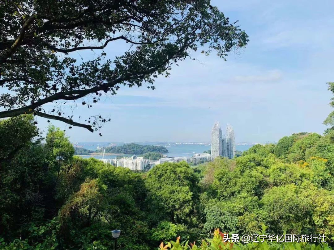 看世界┃春天之籁到新马找回久违的爱