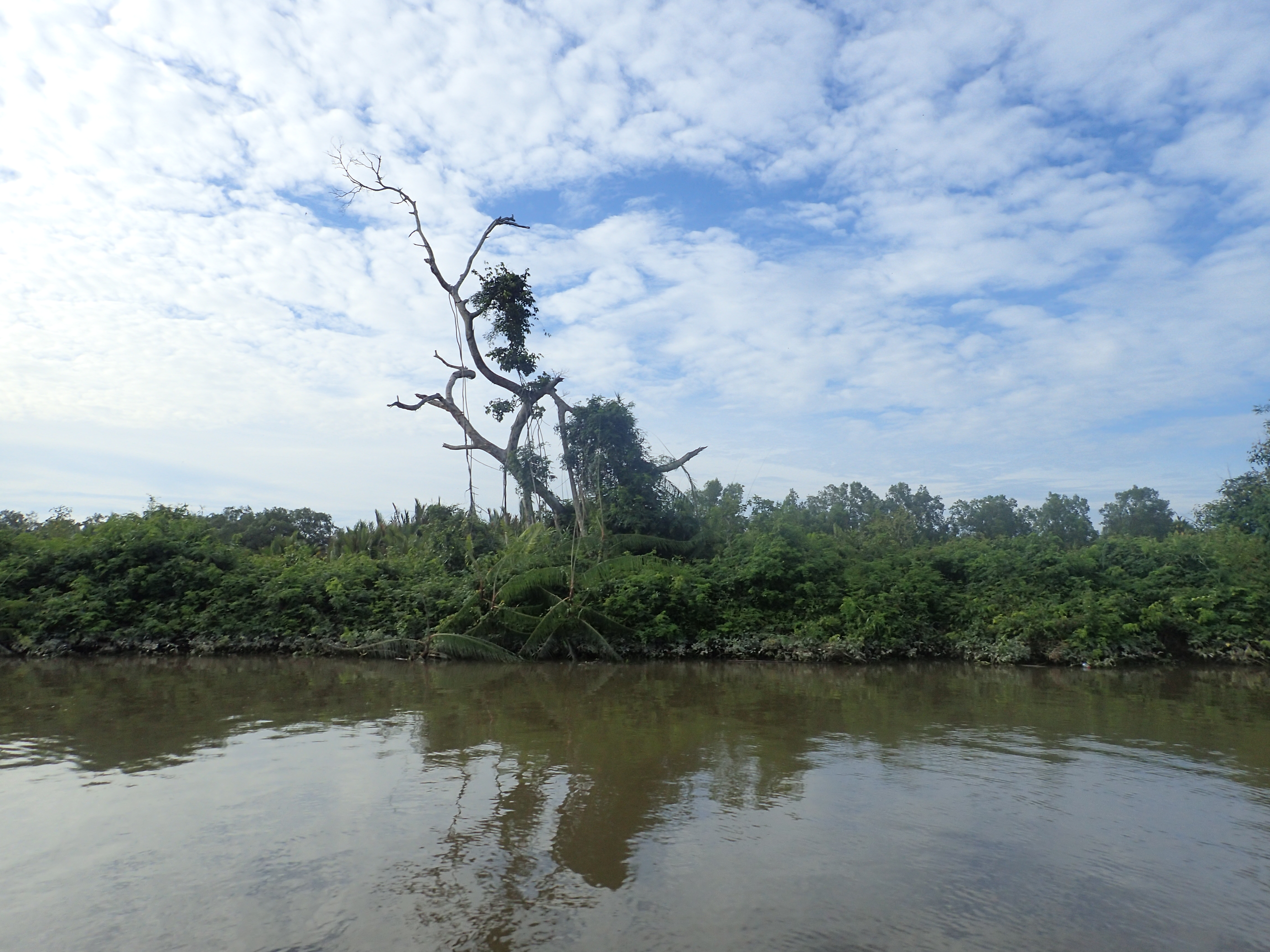沙巴潜水推荐,马来西亚沙巴潜水哪里好