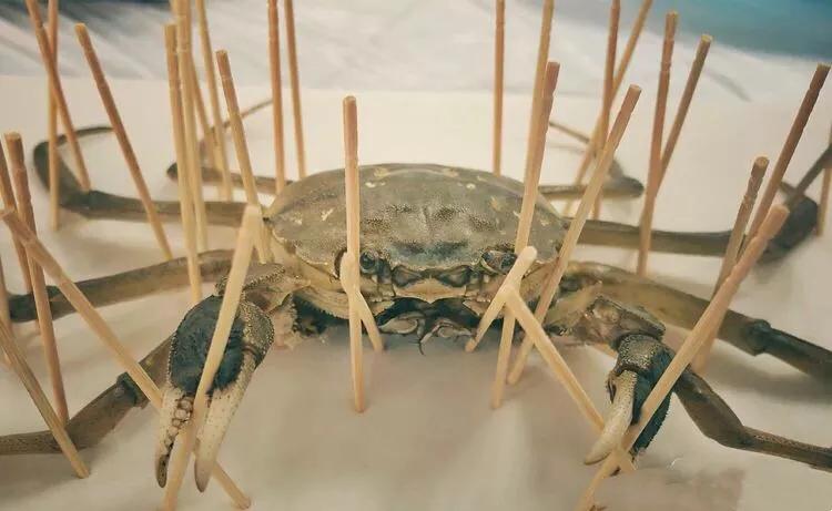 木兰笔记手写,木兰诗笔记重点