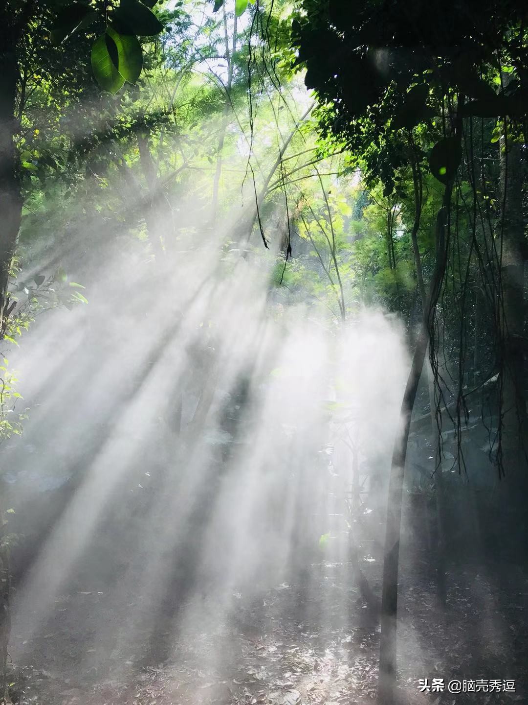 厦门四天自由行攻略最详细,厦门自由行攻略5天详细