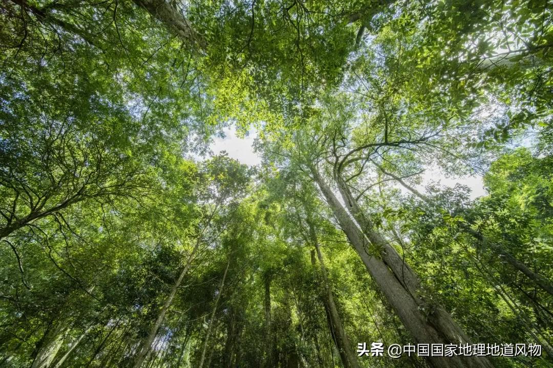 中国五大国家公园,中国十大私藏国家公园