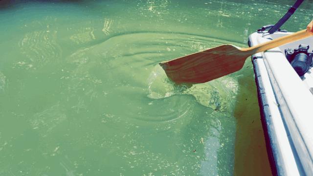 热҈热҈热҈热҈热҈!余杭超“清凉”景点集合