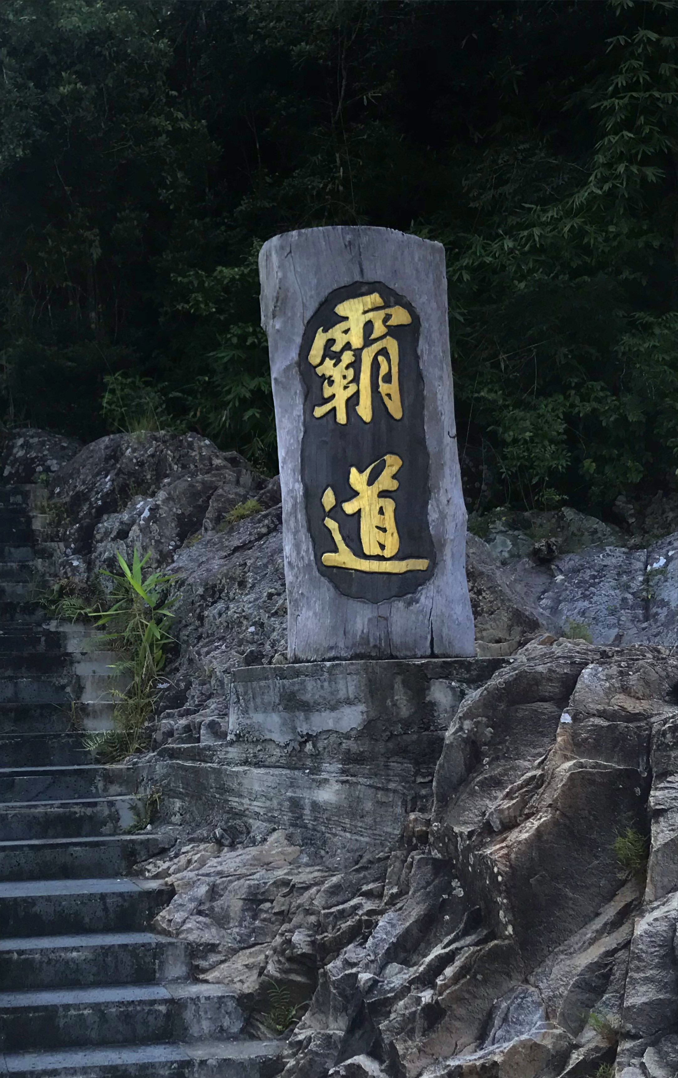 1500年的“母生”藏于此，这里集海南珍稀名木，神奇霸王岭