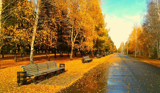 厚道之人必有后福全文,厚道之人必有厚福踏实做事