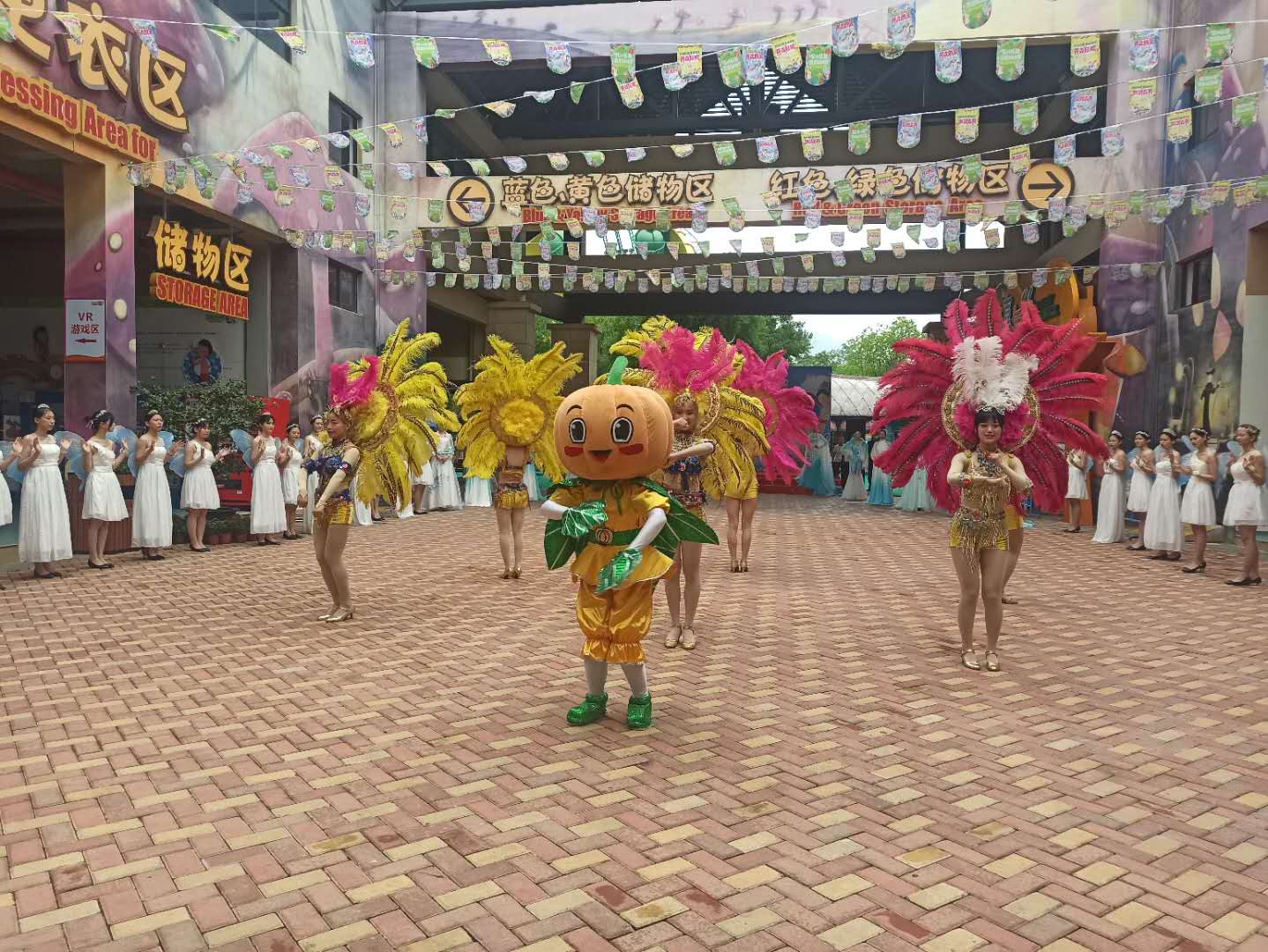 苏州乐园森林水世界畅玩一夏,苏州乐园森夏狂欢