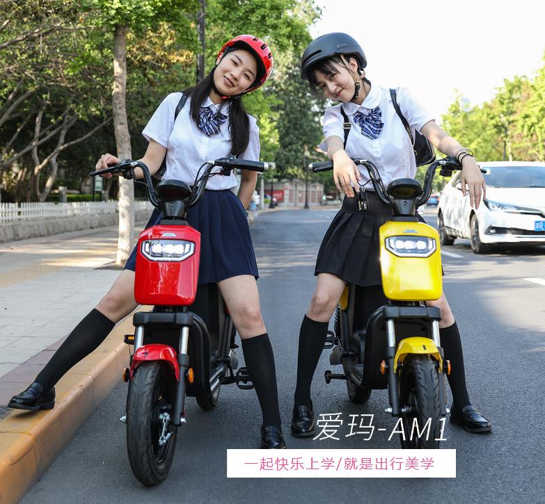 爱玛am1豪华版1.0,爱玛a101值得购买吗