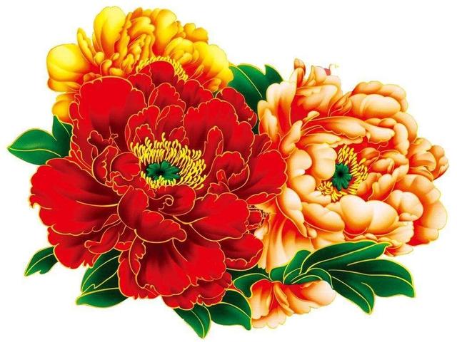 户口属于人力资源中的哪类,怎么查询自己户口所在地人力资源