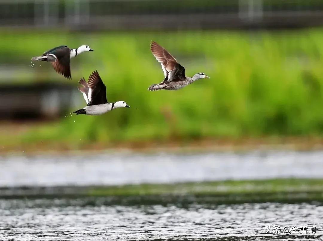 为什么云南女人长相好看,云南真的很漂亮吗