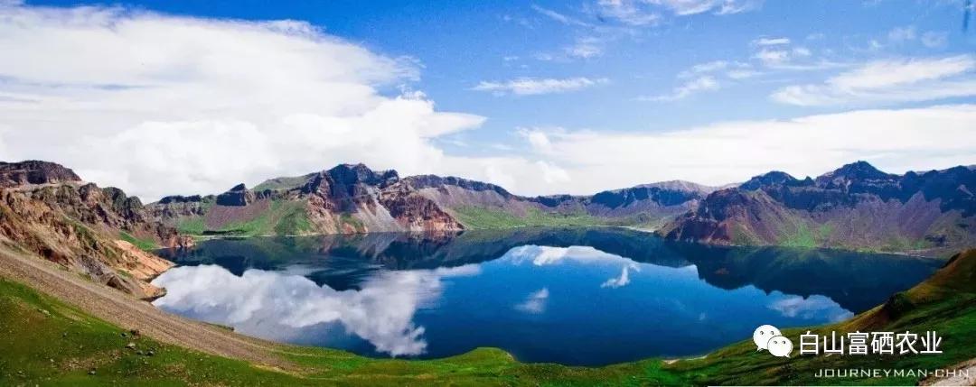 农家产品椴树蜜,长白山天然无添加的顶级椴树蜜