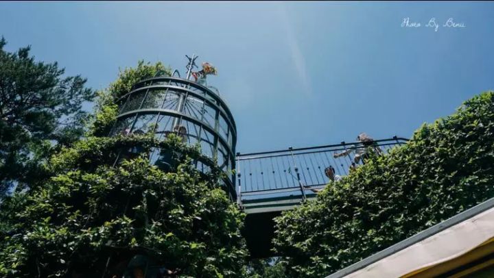 逛东京,去东京哪里旅游最适合居住