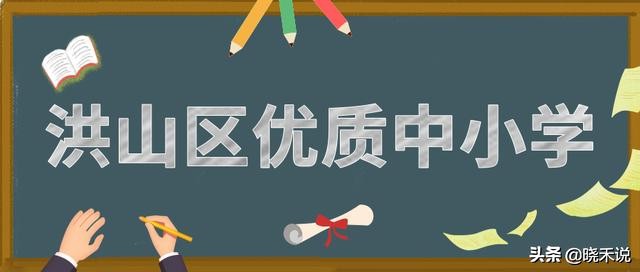 武汉优秀的初中学校都在哪些区呀,武汉市中小学学校排名