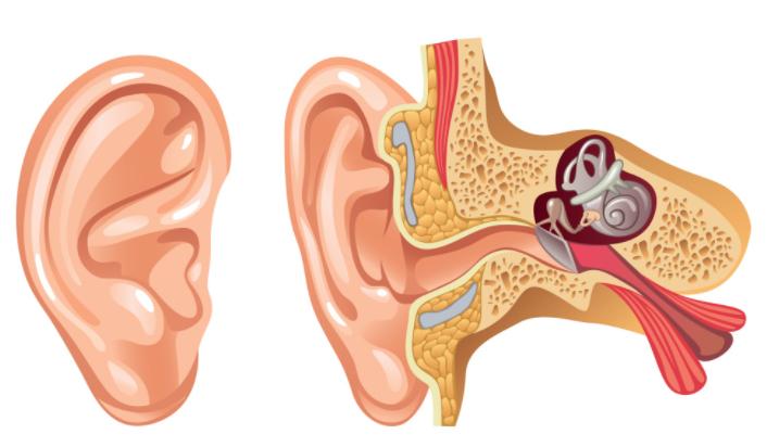耳屎结成硬块一挖出血,耳屎结成硬块一掏就出血