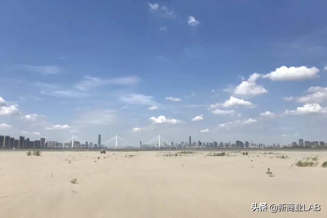 姝︽眽閰掑簵鑽掓紶,姝︽眽涓轰粈涔堣绉颁负閰掑簵鑽掓紶