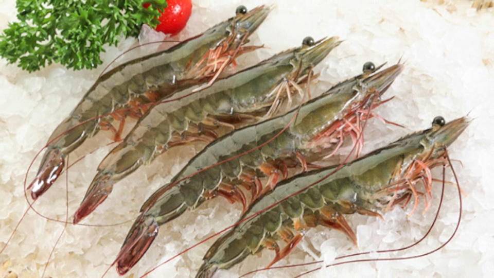 新鲜大虾第二天吃怎么保鲜,新鲜大虾一次性吃不完