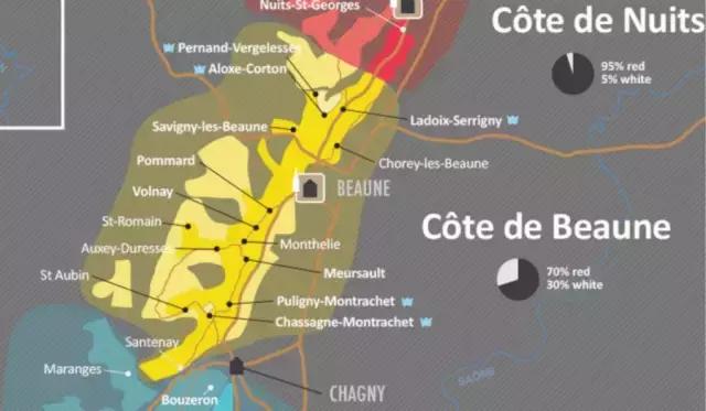 勃艮第伯恩产区品种,让人分不清的品种