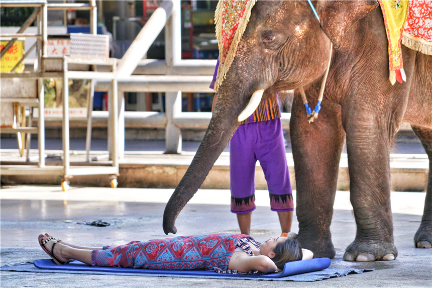 云南民族文化公园,云南最好的景区公园