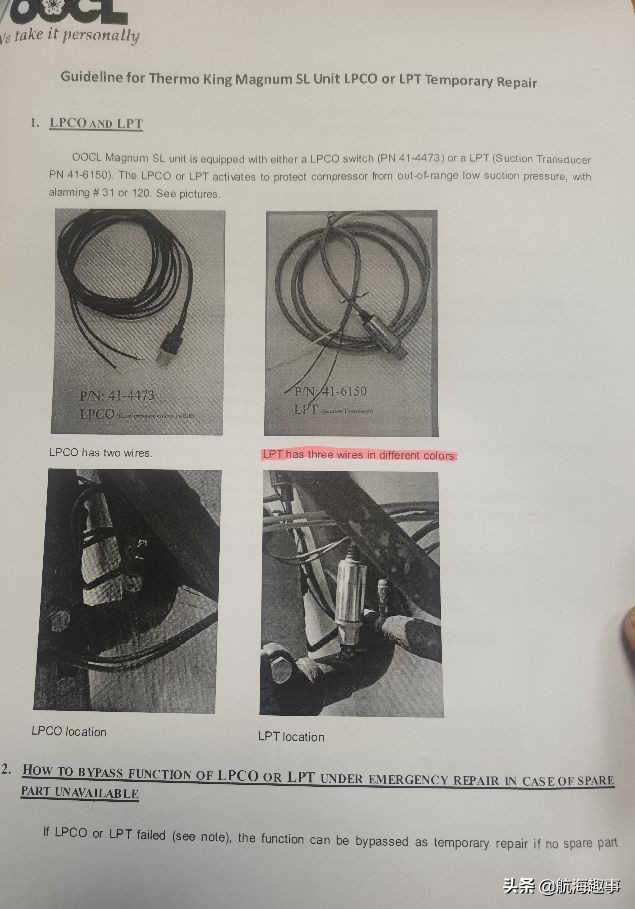 航海故事视频,航海王故事内容