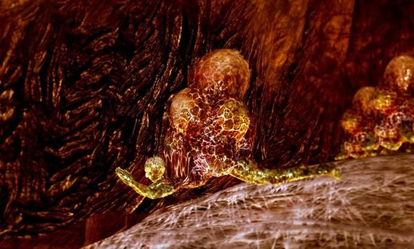 黑魂最恶心怪物,黑魂三最恶心的怪物