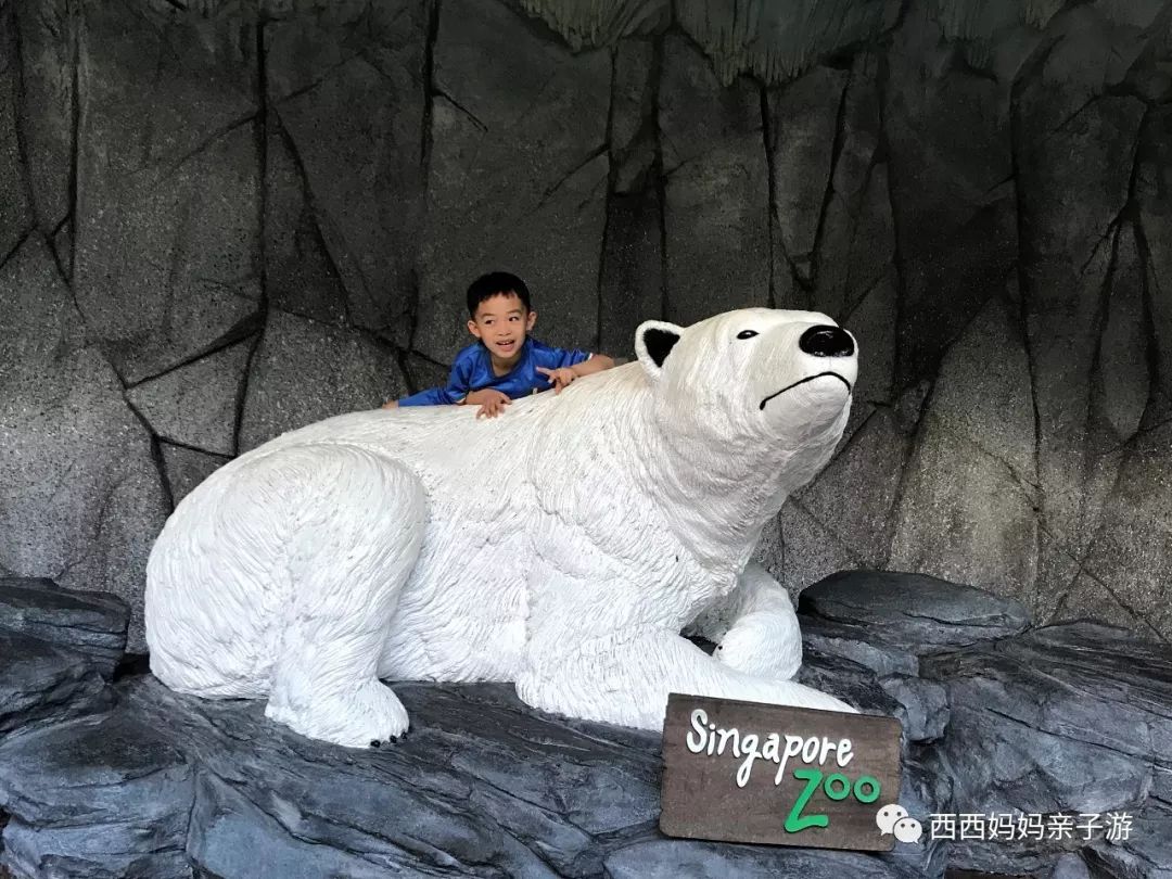 新加坡一天来回马来西亚乐高乐园,乐高马来西亚旅游记