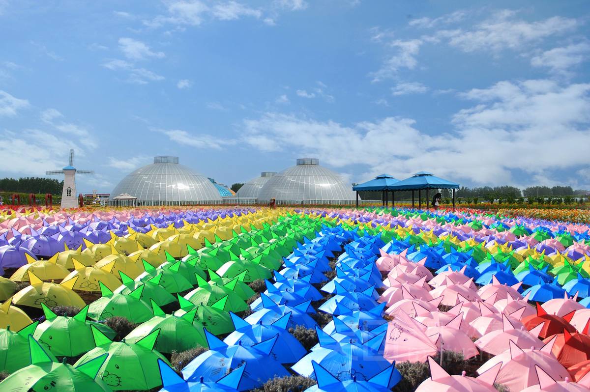 粽情端午出游,端午小长假粽情出游