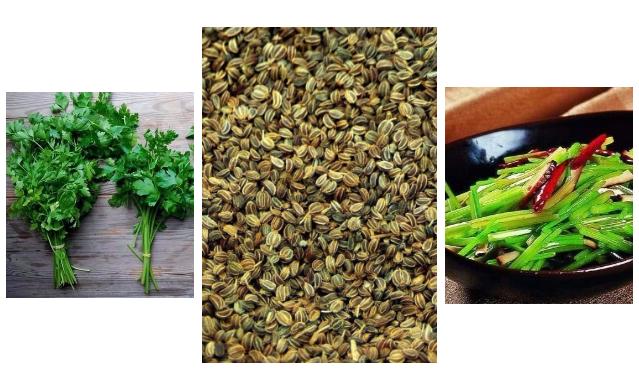 提炼精油可食用吗,自己提炼的精油可以干嘛