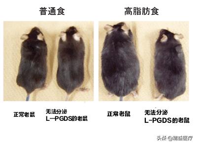 真正有效的瘦身药品是什么,最有效的药可以暴瘦