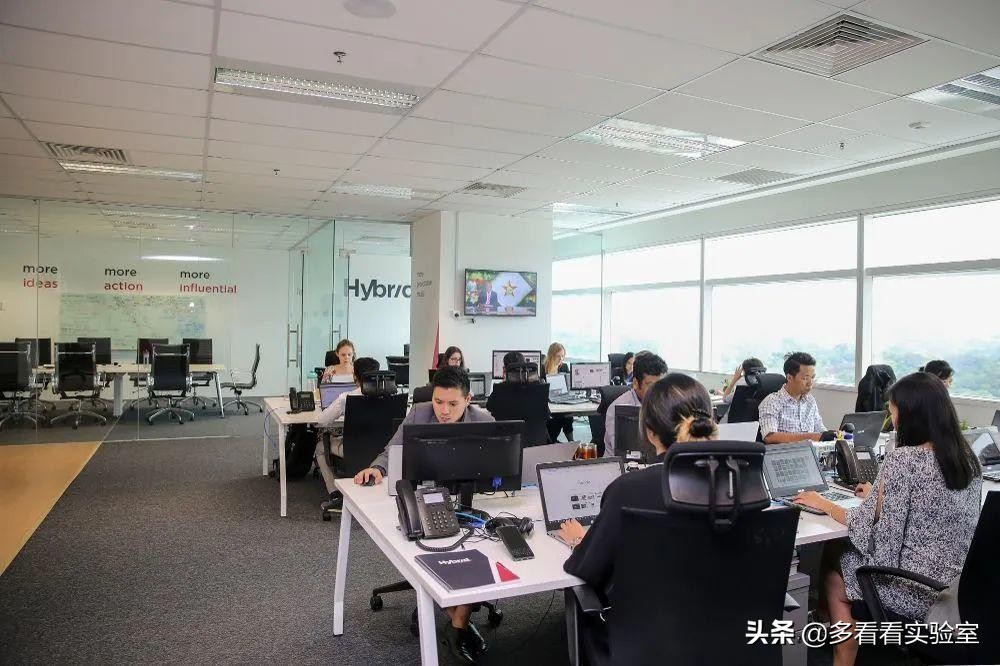 中国人去马来西亚能干什么,中国人去马来西亚工作要些啥