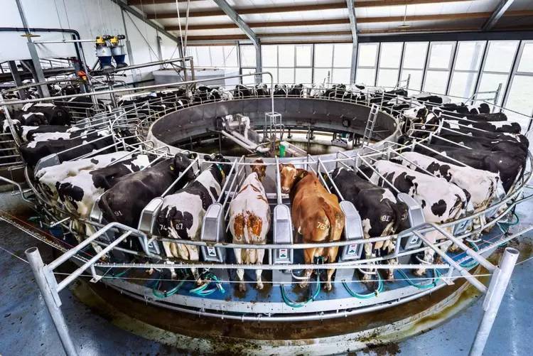 这样的农业,多忙也要抽时间去看看