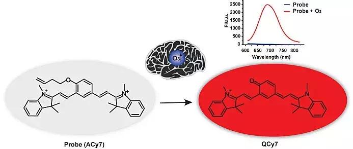 日报：人脑具有磁场感应能力；FDA批准创新疗法治疗过度嗜睡