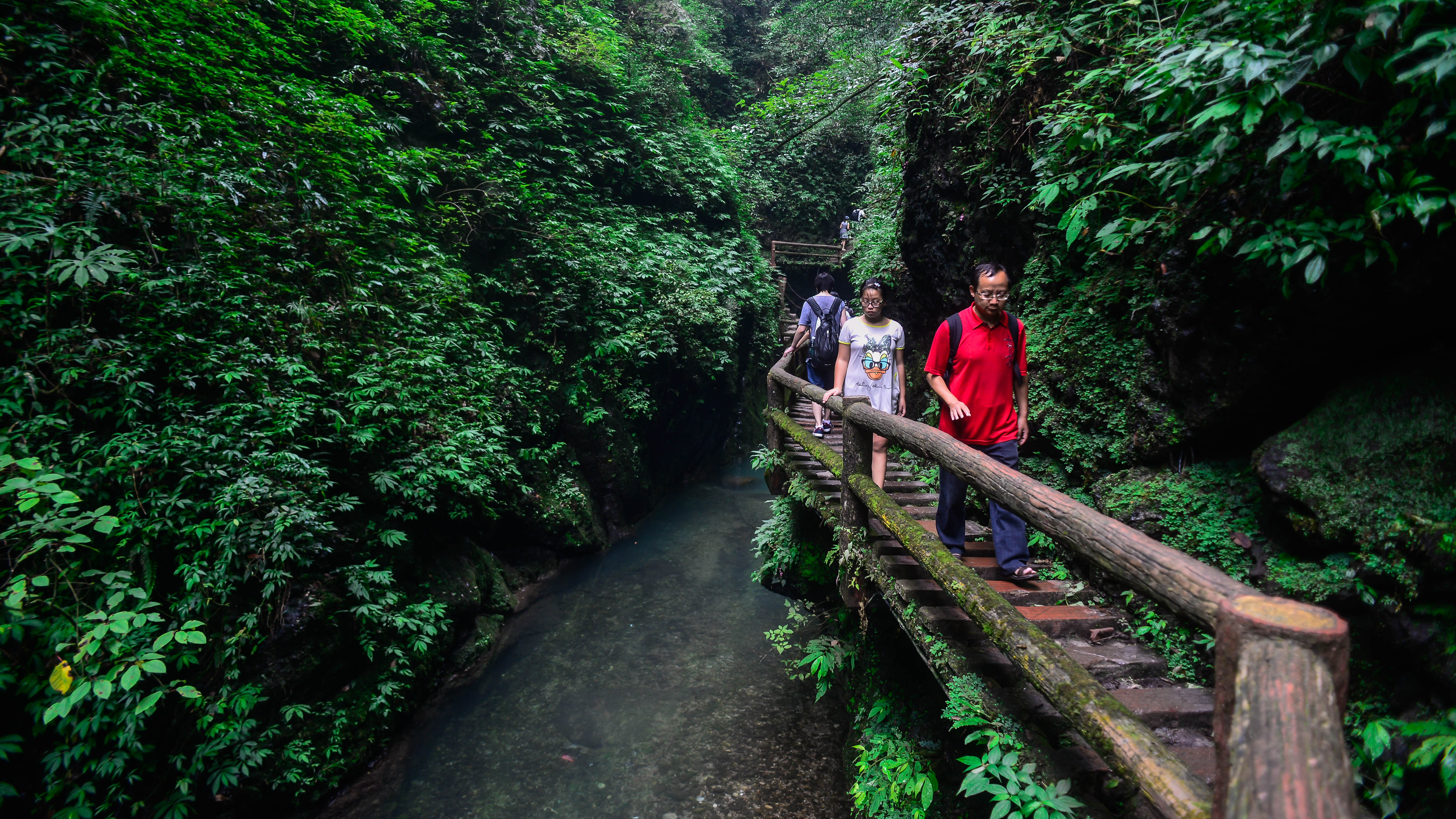 青城后山的民宿哪个性价比高,青城山必住的亲子民宿