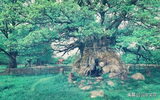 成语词语接龙带数字,二千条成语首尾接龙