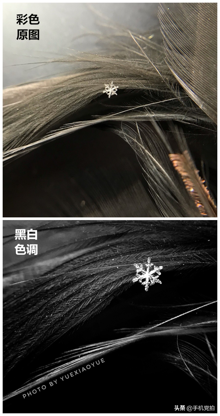 拍摄20倍雪花微距的教程,下雪天怎么拍出唯美视频