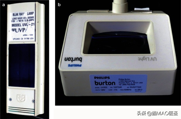 猫咪皮肤病症状及图片,猫咪皮肤病真菌
