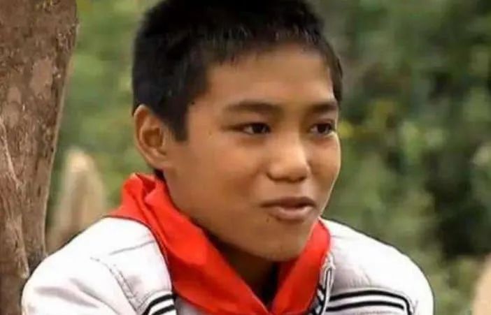 变形计杨桐网红现状,变形计戴眼镜杨桐现状