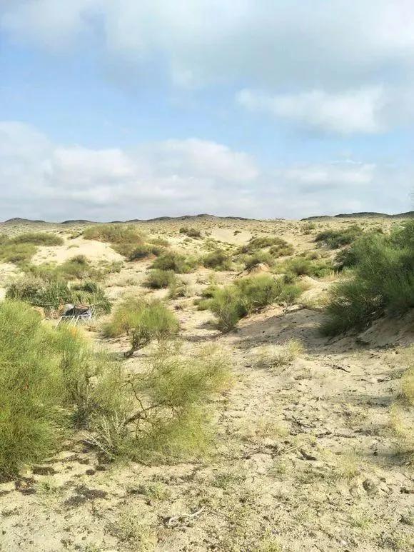 在隐居吧里，我看到了43万社畜的真实生活