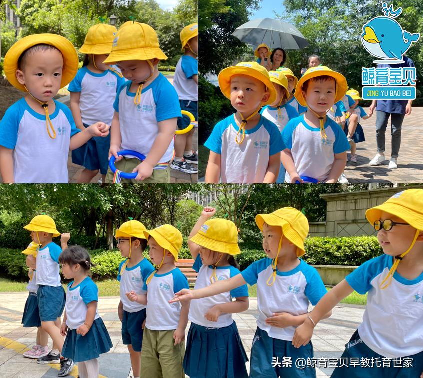 家庭中的蒙特梭利教育,蒙特梭利国际儿童之家价格