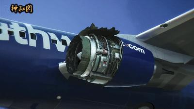 西南航空1380号班机空中浩劫模拟,飞机坠落事件人员伤亡情况