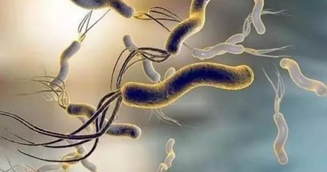 幽门螺杆菌900多需要做胃镜吗,幽门螺杆菌值200多严重吗